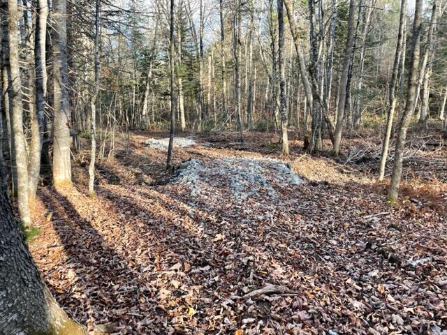 0 Little Huston Brook Road Concord Twp ME 04920