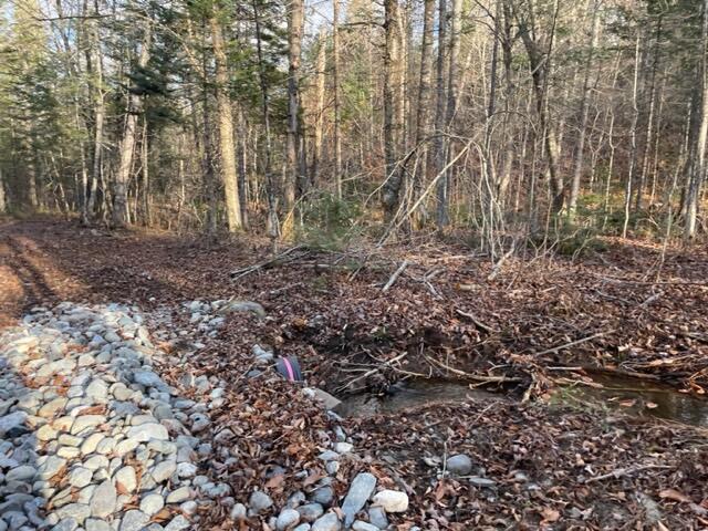 0 Little Huston Brook Road Concord Twp ME 04920