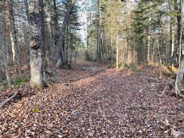 0 Little Huston Brook Road Concord Twp ME 04920