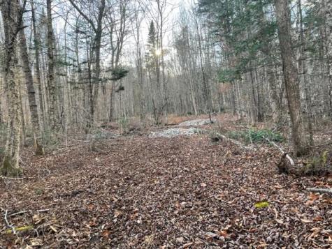 0 Little Huston Brook Road Concord Twp ME 04920