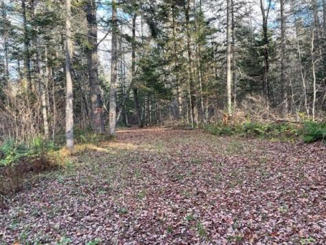 0 Little Huston Brook Road Concord Twp ME 04920