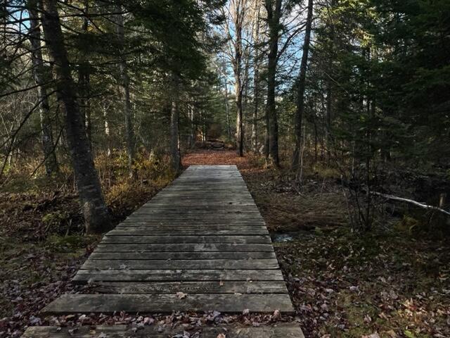 0 Little Huston Brook Road Concord Twp ME 04920