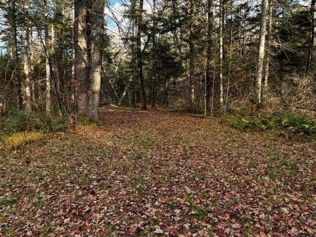 0 Little Huston Brook Road Concord Twp ME 04920