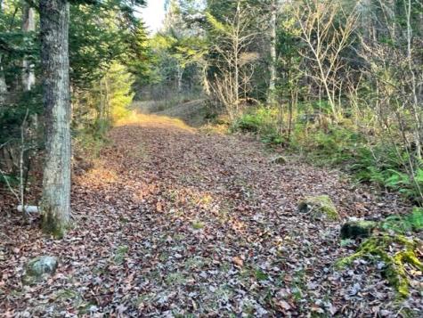 0 Little Huston Brook Road Concord Twp ME 04920