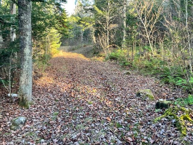 0 Little Huston Brook Road Concord Twp ME 04920