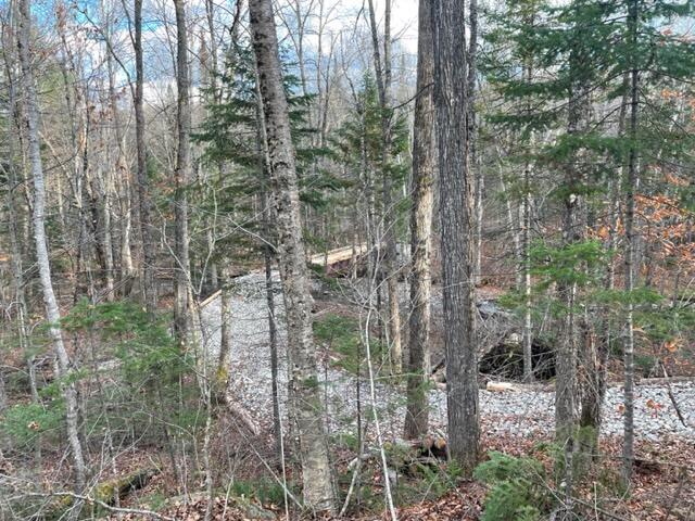 0 Little Huston Brook Road Concord Twp ME 04920