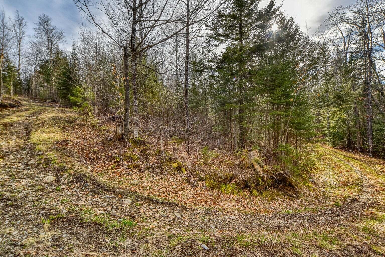 0 Little Huston Brook Road Concord Twp ME 04920