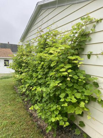 78 State Route 32 Bristol ME 04554