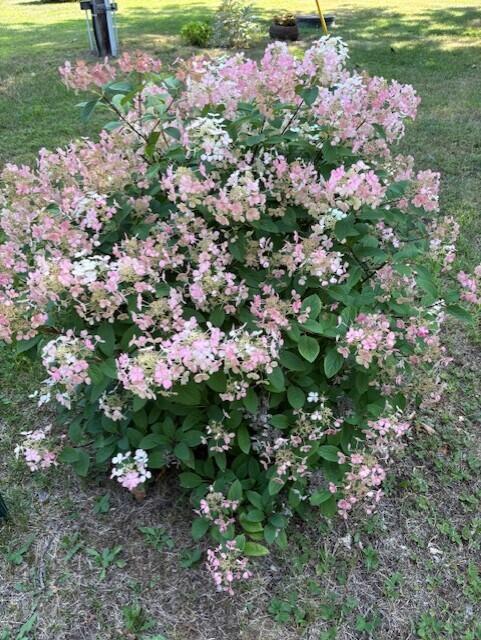 36 Chickadee Drive Alfred ME 04002