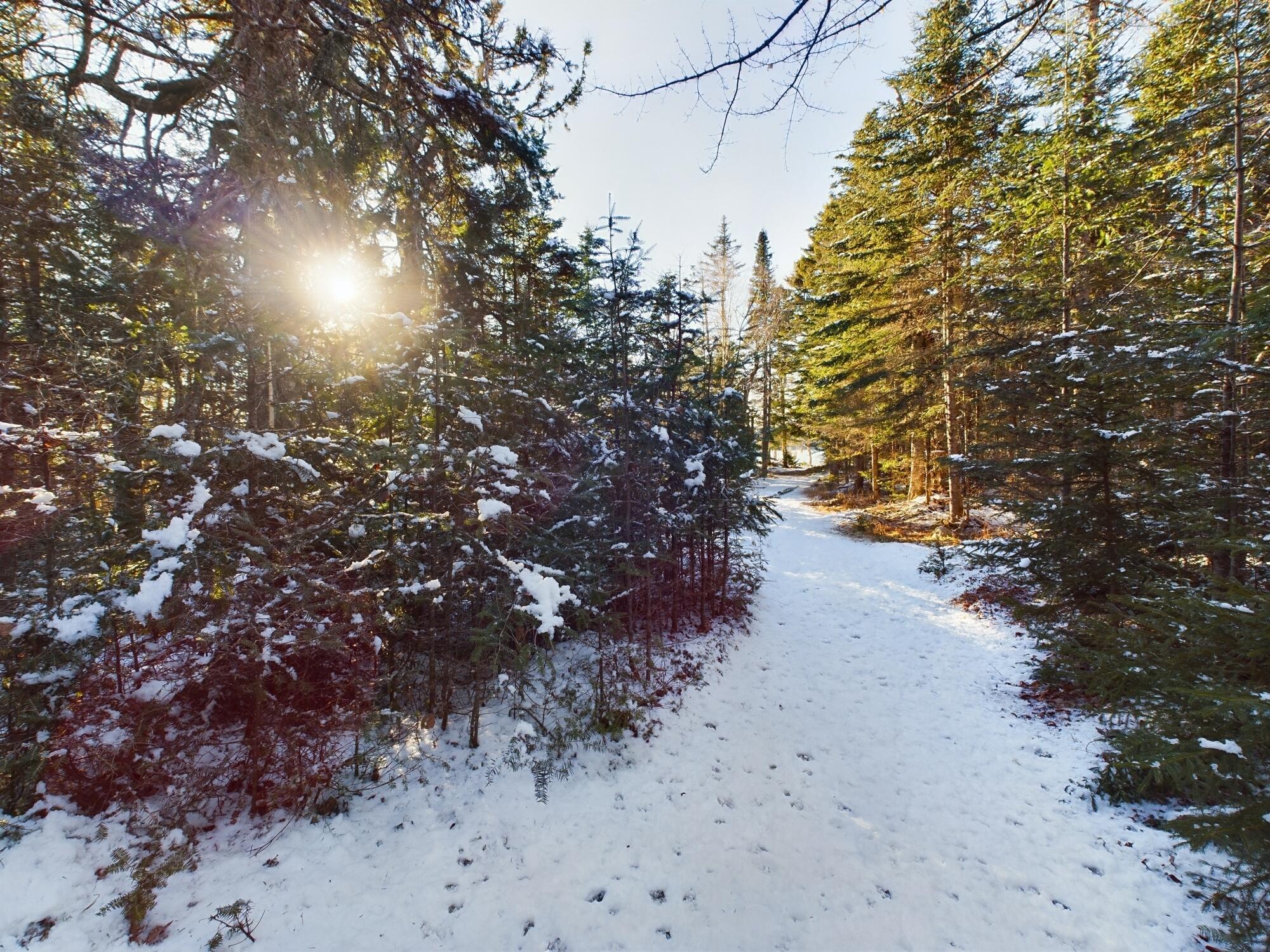 22 Collins Cove Road Machiasport ME 04655