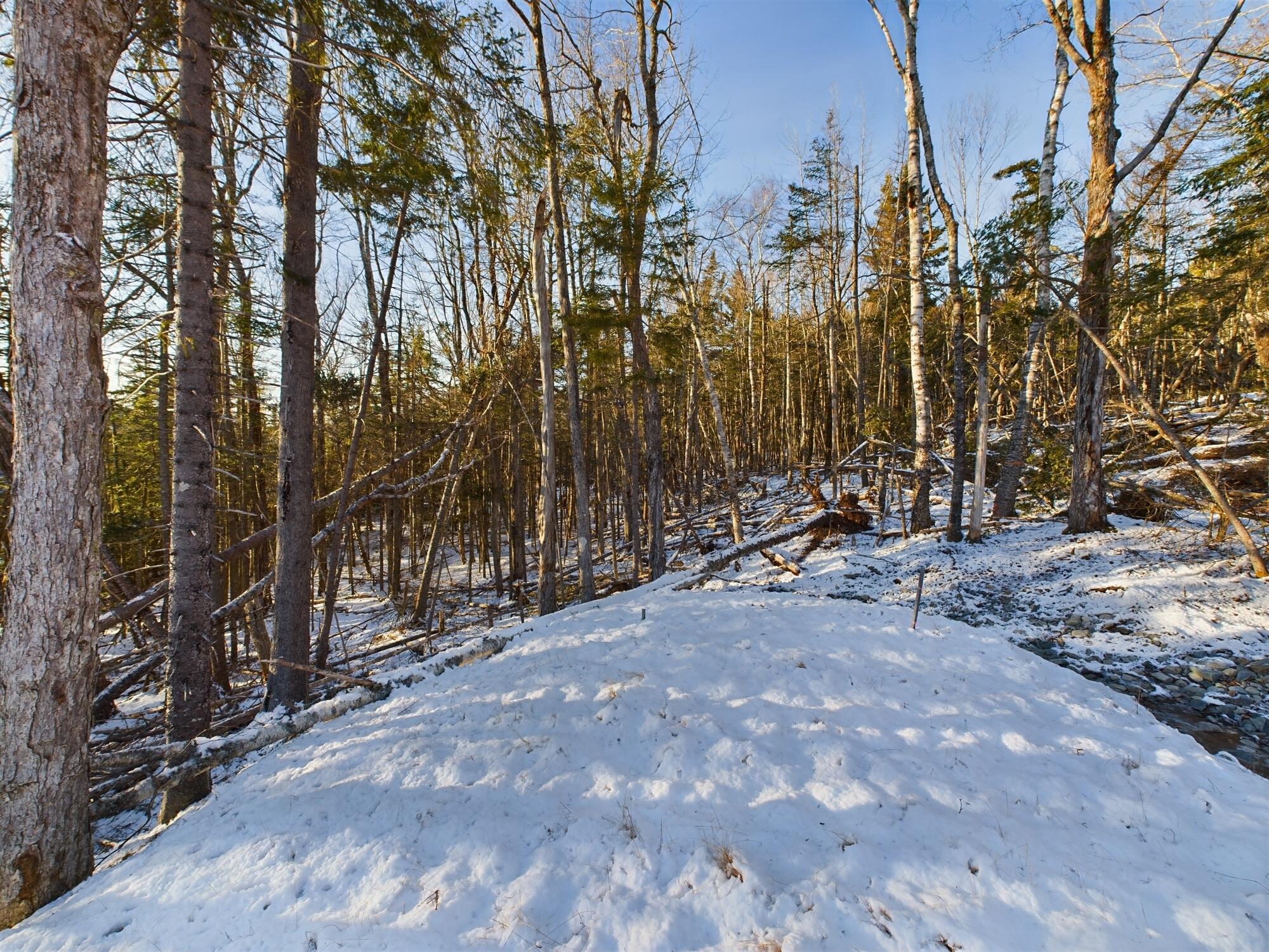 22 Collins Cove Road Machiasport ME 04655