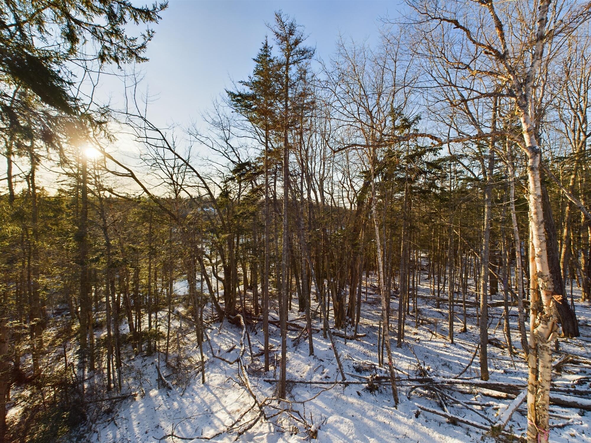 22 Collins Cove Road Machiasport ME 04655