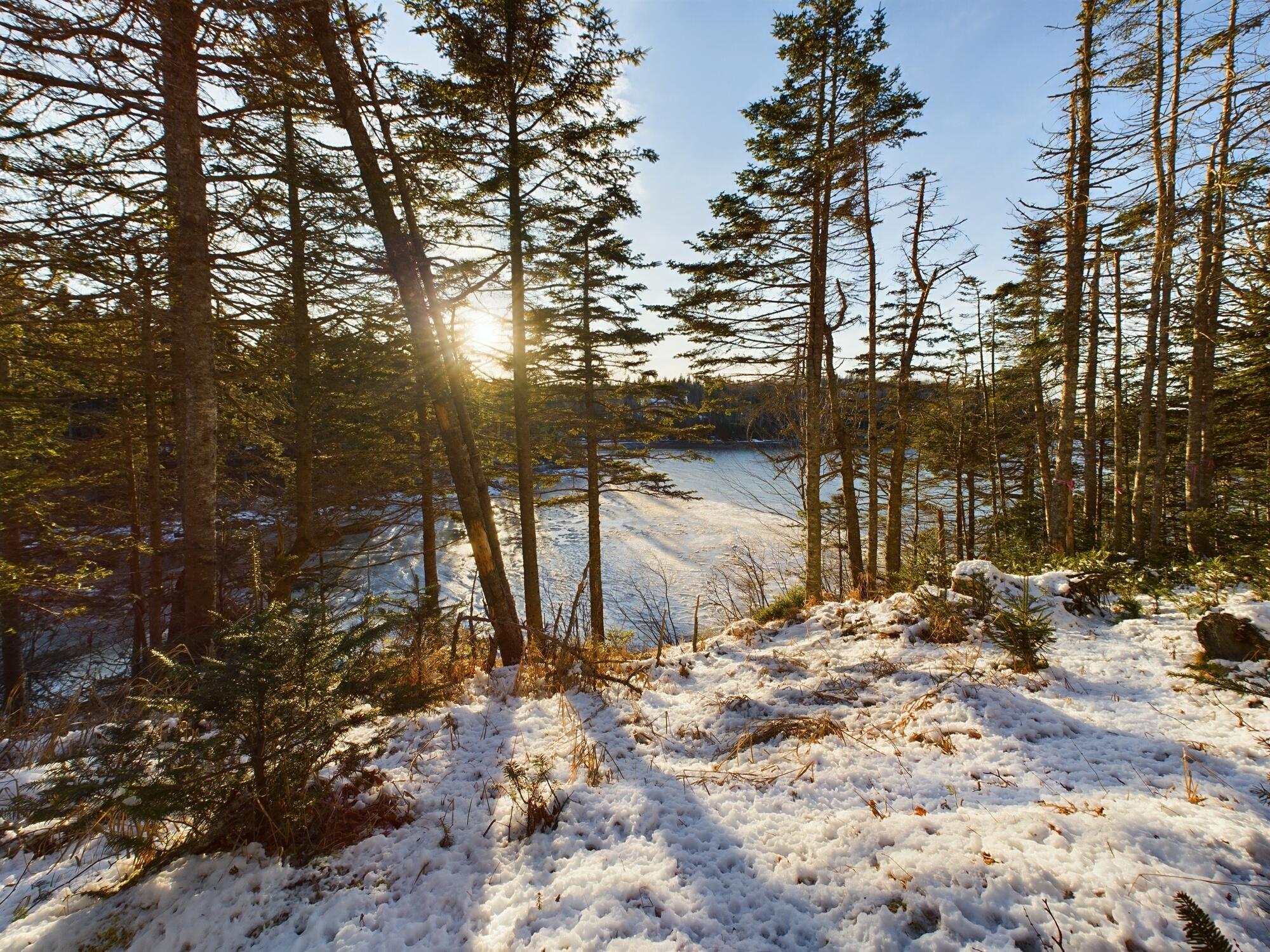 22 Collins Cove Road Machiasport ME 04655