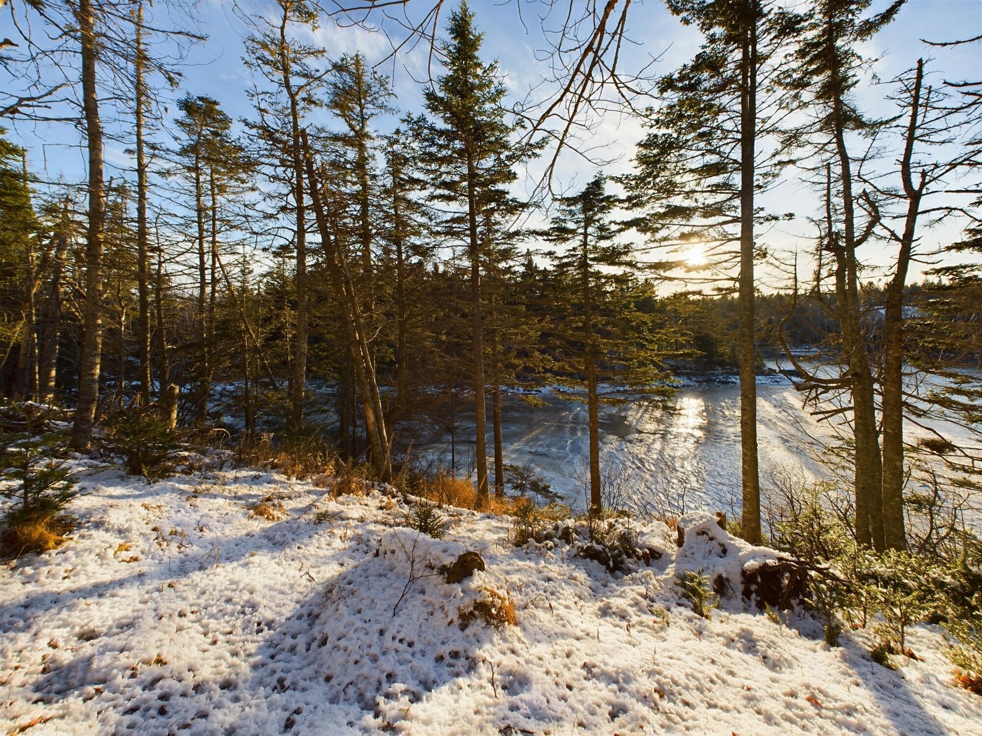 22 Collins Cove Road Machiasport ME 04655