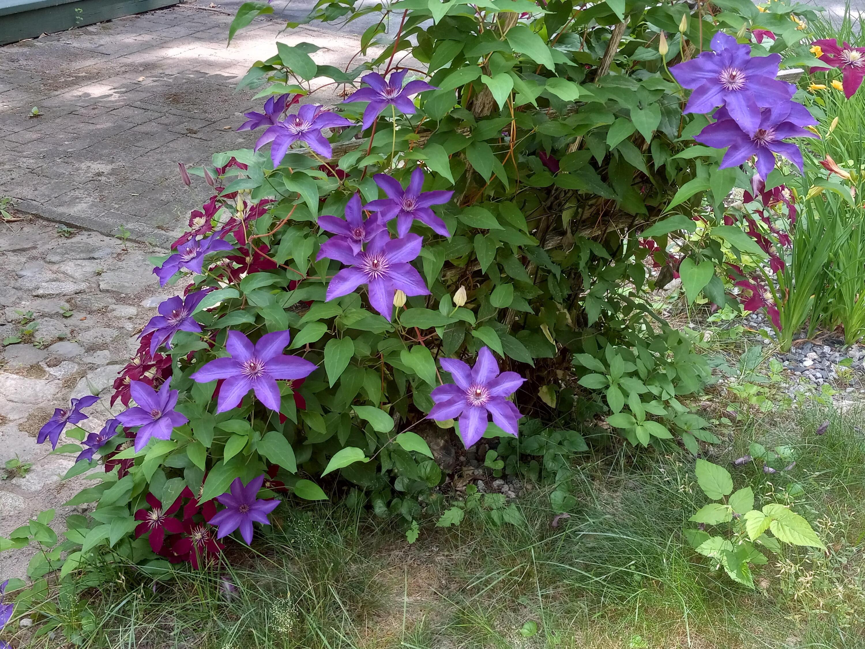 22 Dyer Lane Casco ME 04015