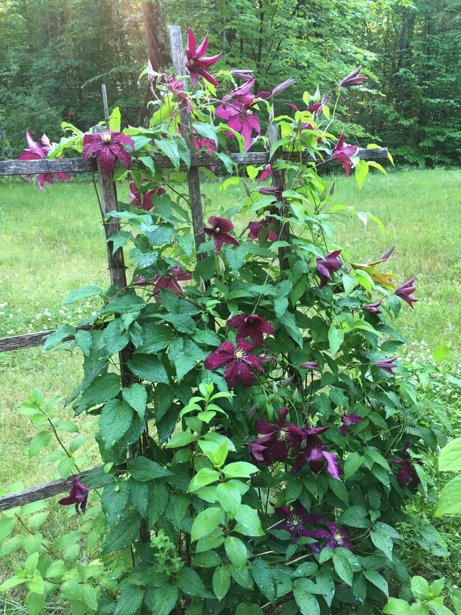 22 Dyer Lane Casco ME 04015