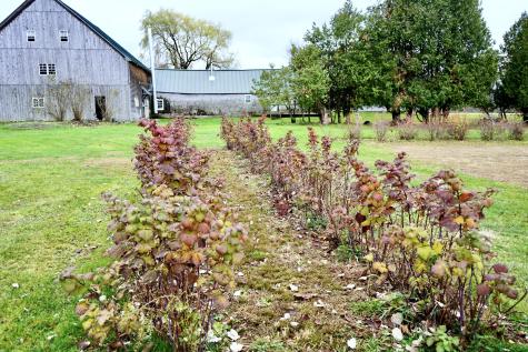 448 Elm Street Newport ME 04953