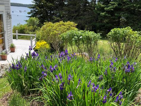 14 Deer Run Lane Swans Island ME 04685