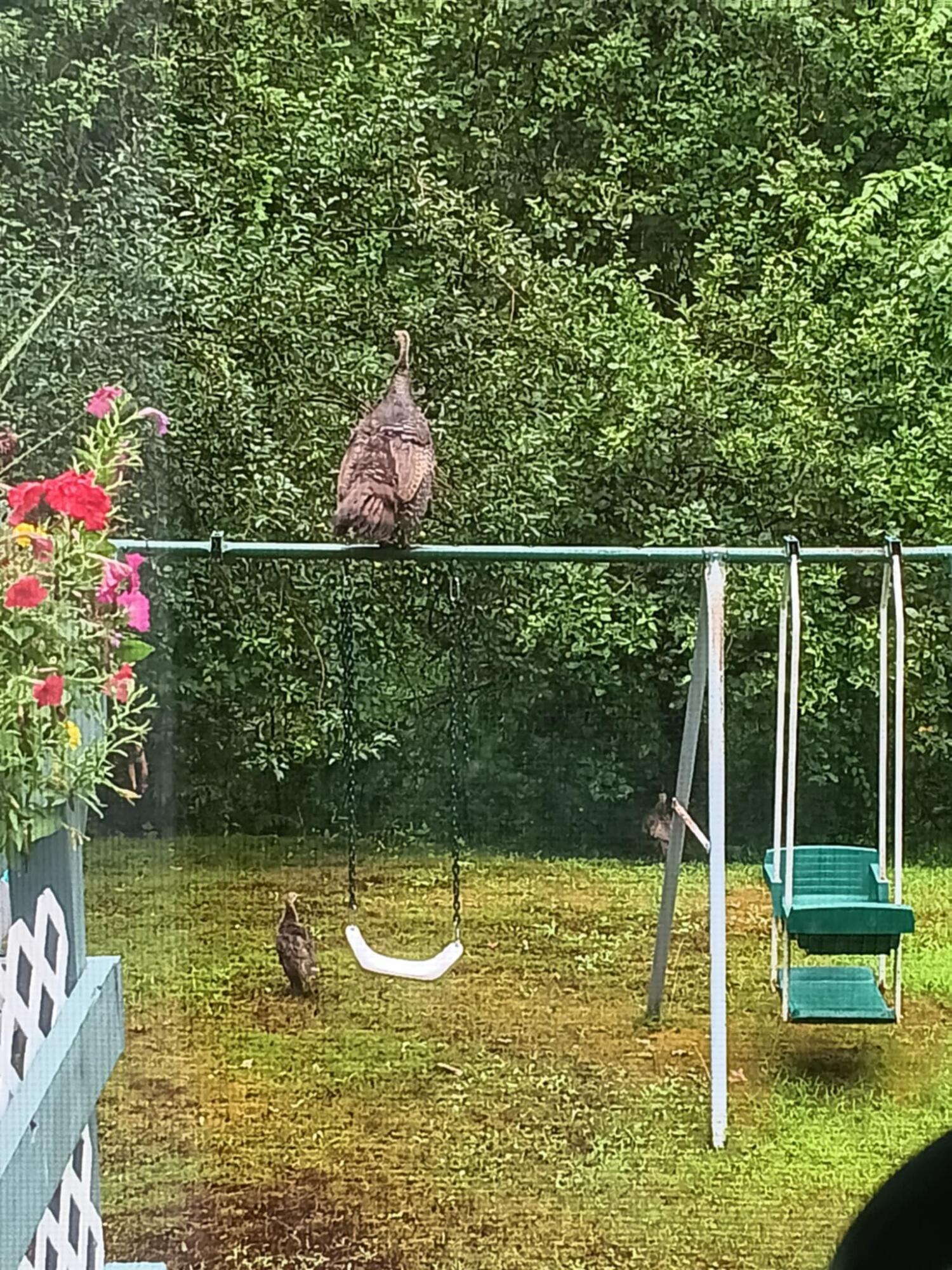 38 Long Hall Drive Berwick ME 03901