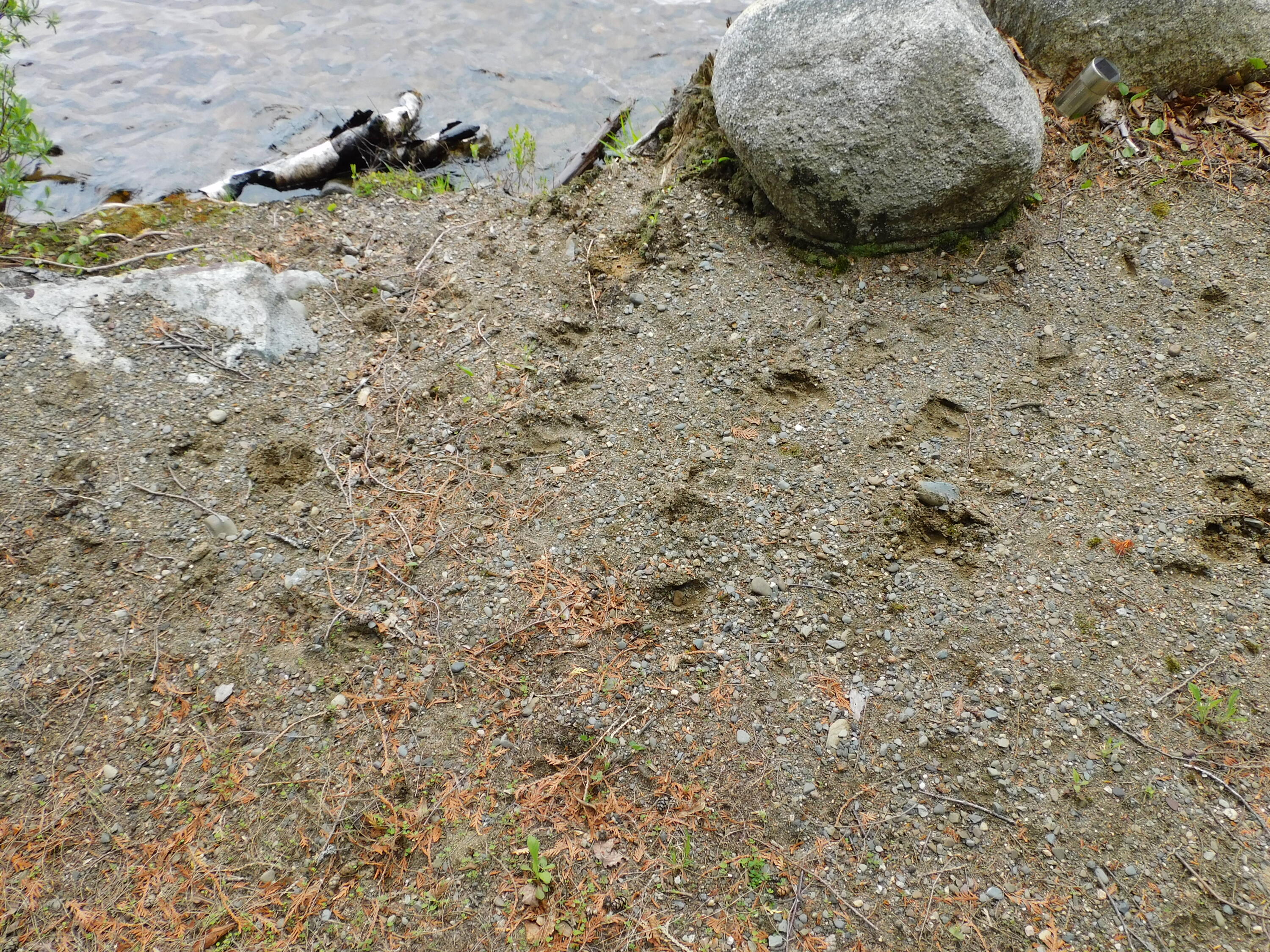35 Black Cat Point Drive Princeton ME 04668