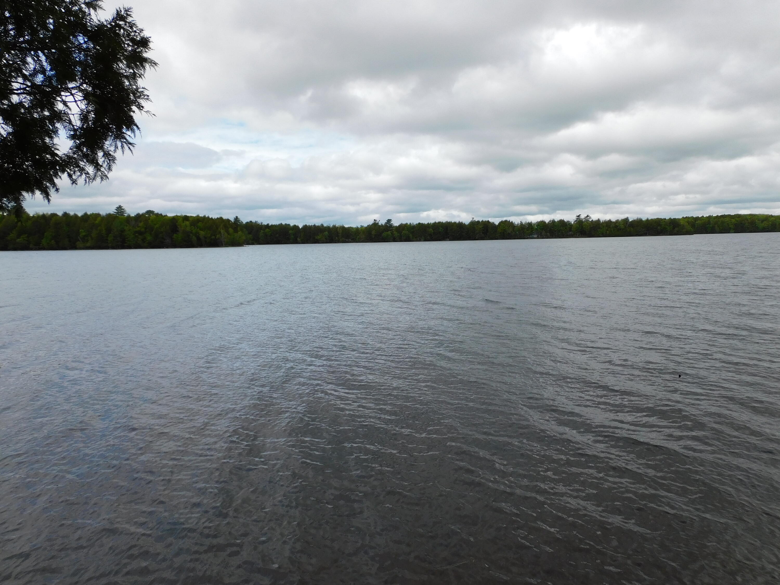35 Black Cat Point Drive Princeton ME 04668