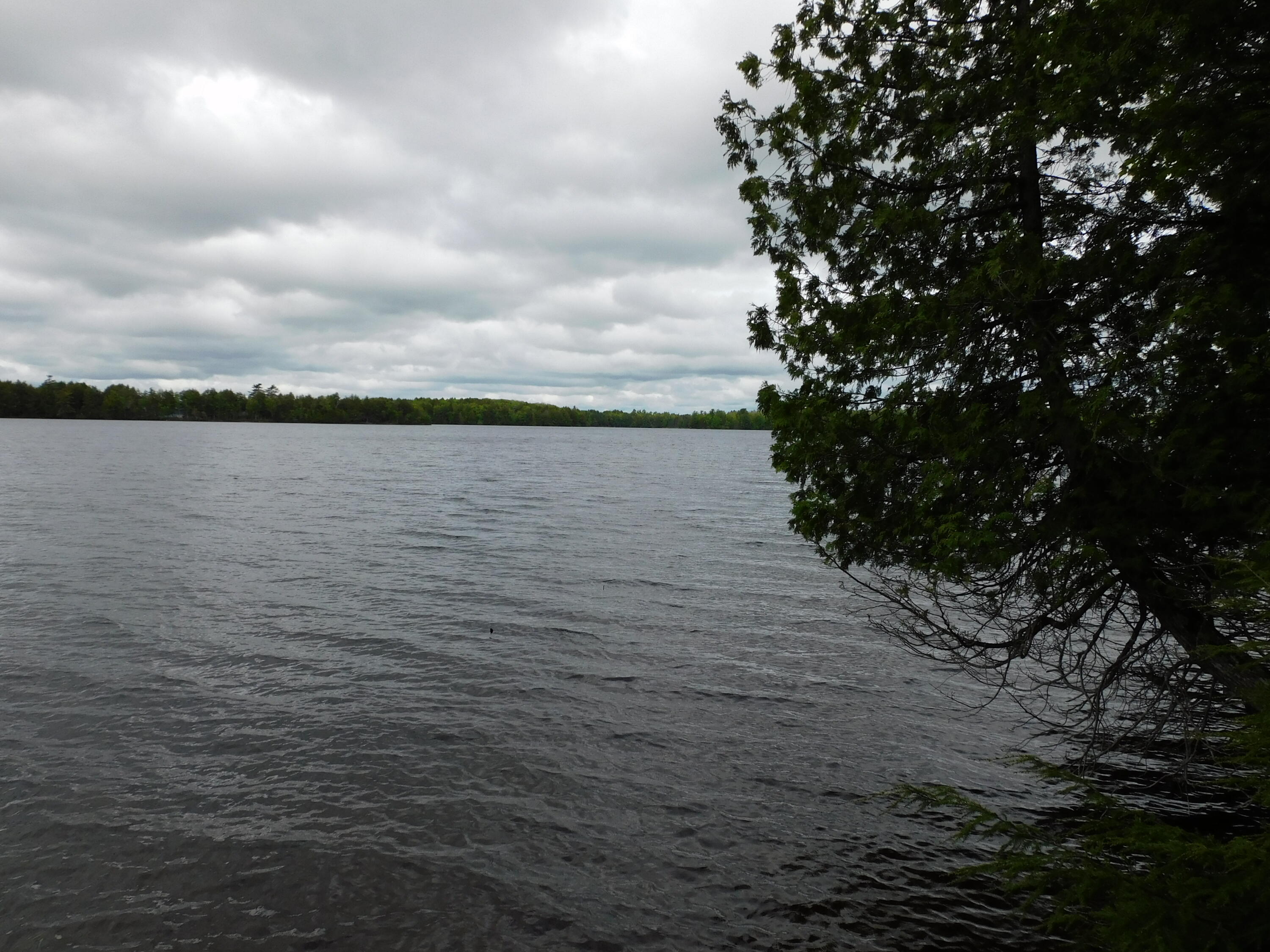 35 Black Cat Point Drive Princeton ME 04668