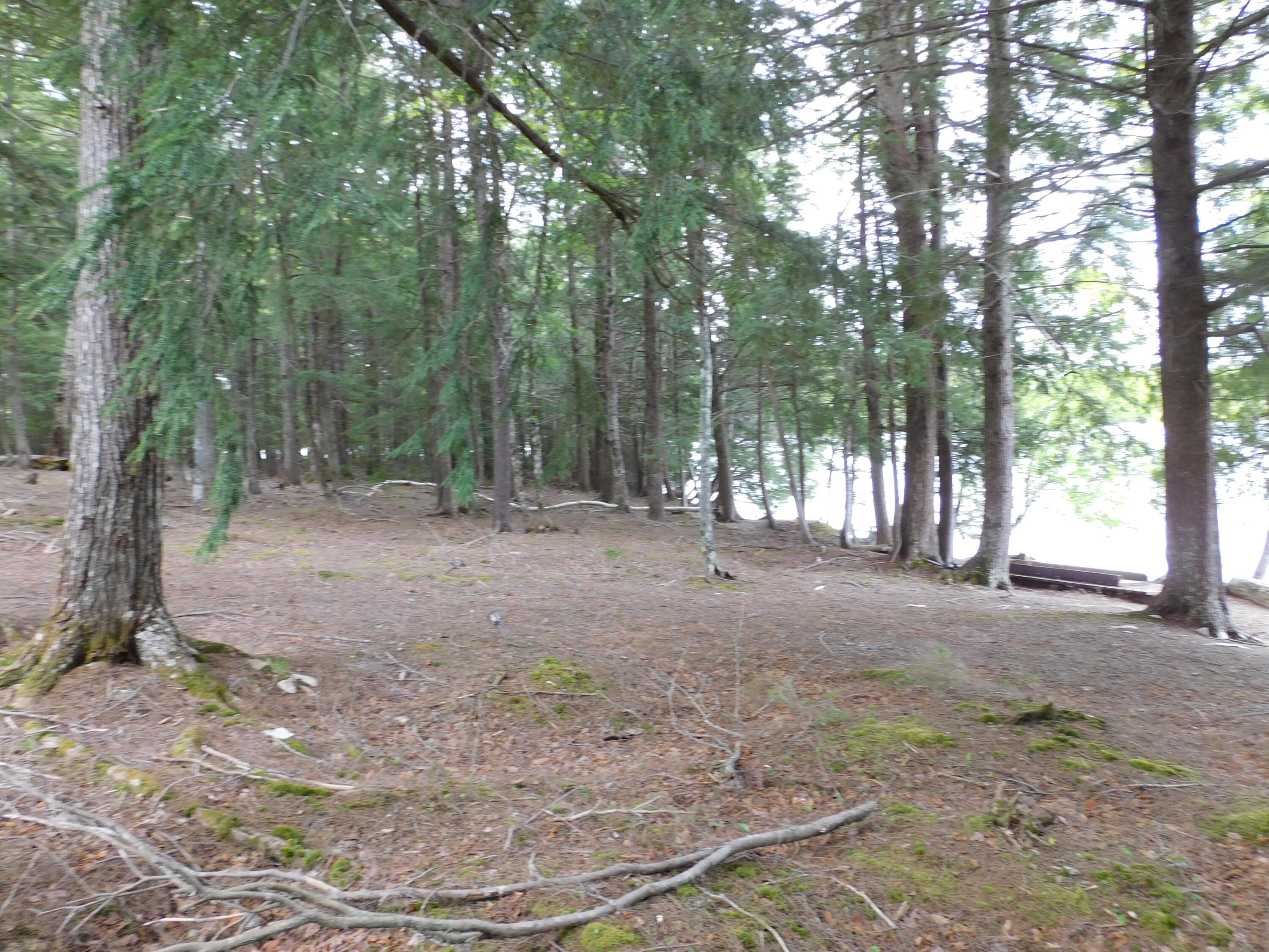 35 Black Cat Point Drive Princeton ME 04668