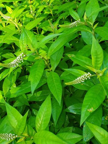 489 Back Road Skowhegan ME 04976