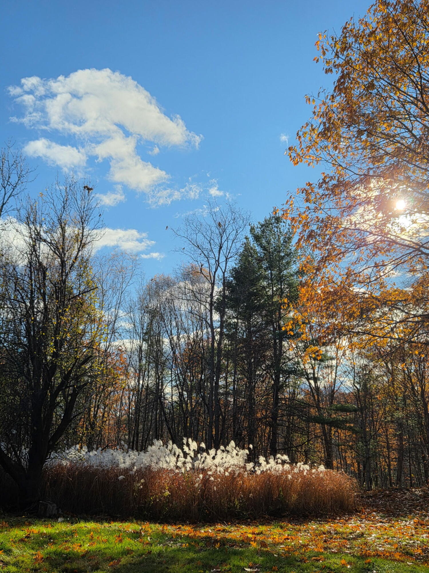 489 Back Road Skowhegan ME 04976