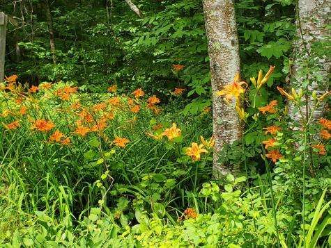 489 Back Road Skowhegan ME 04976