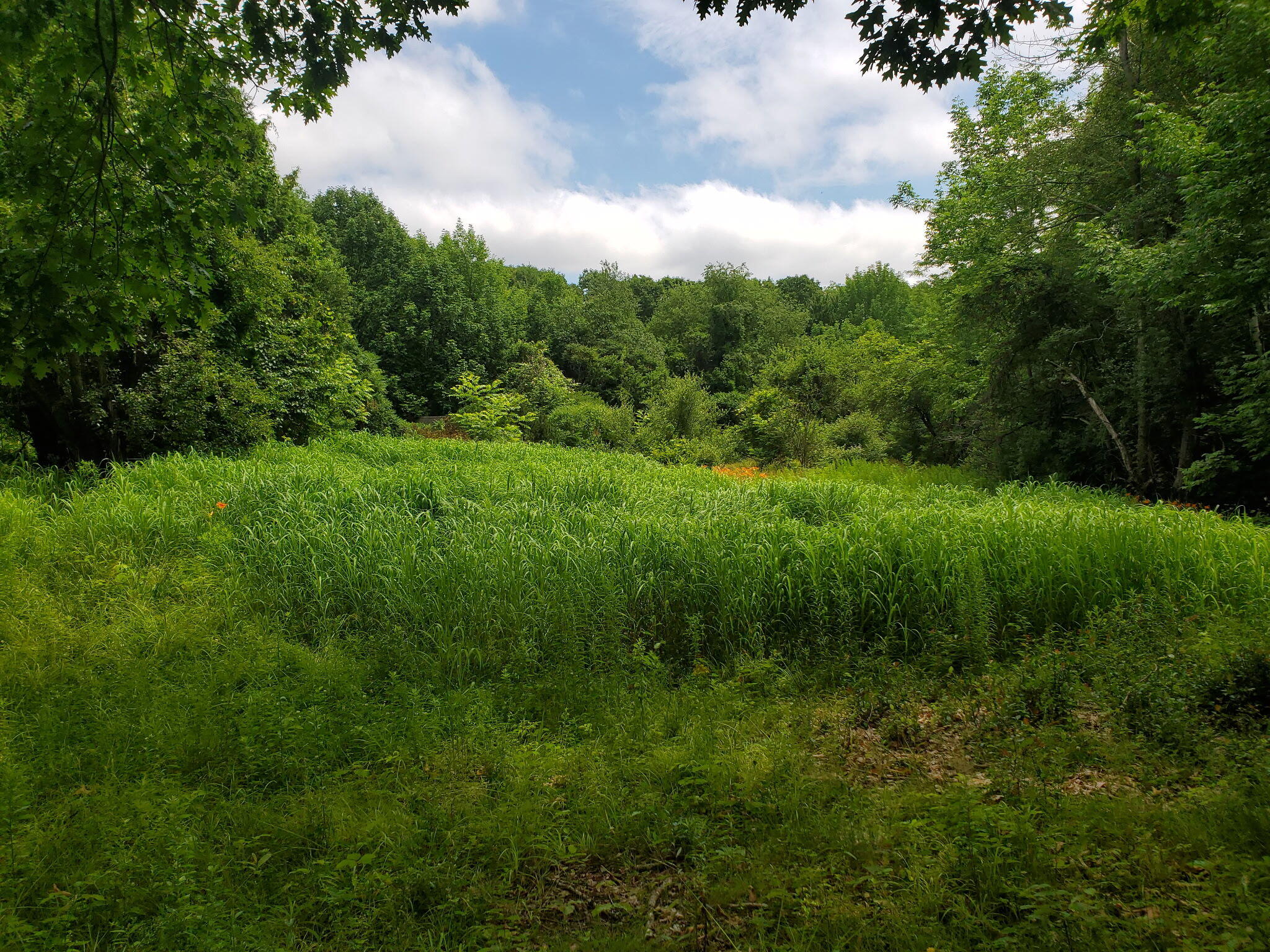 489 Back Road Skowhegan ME 04976