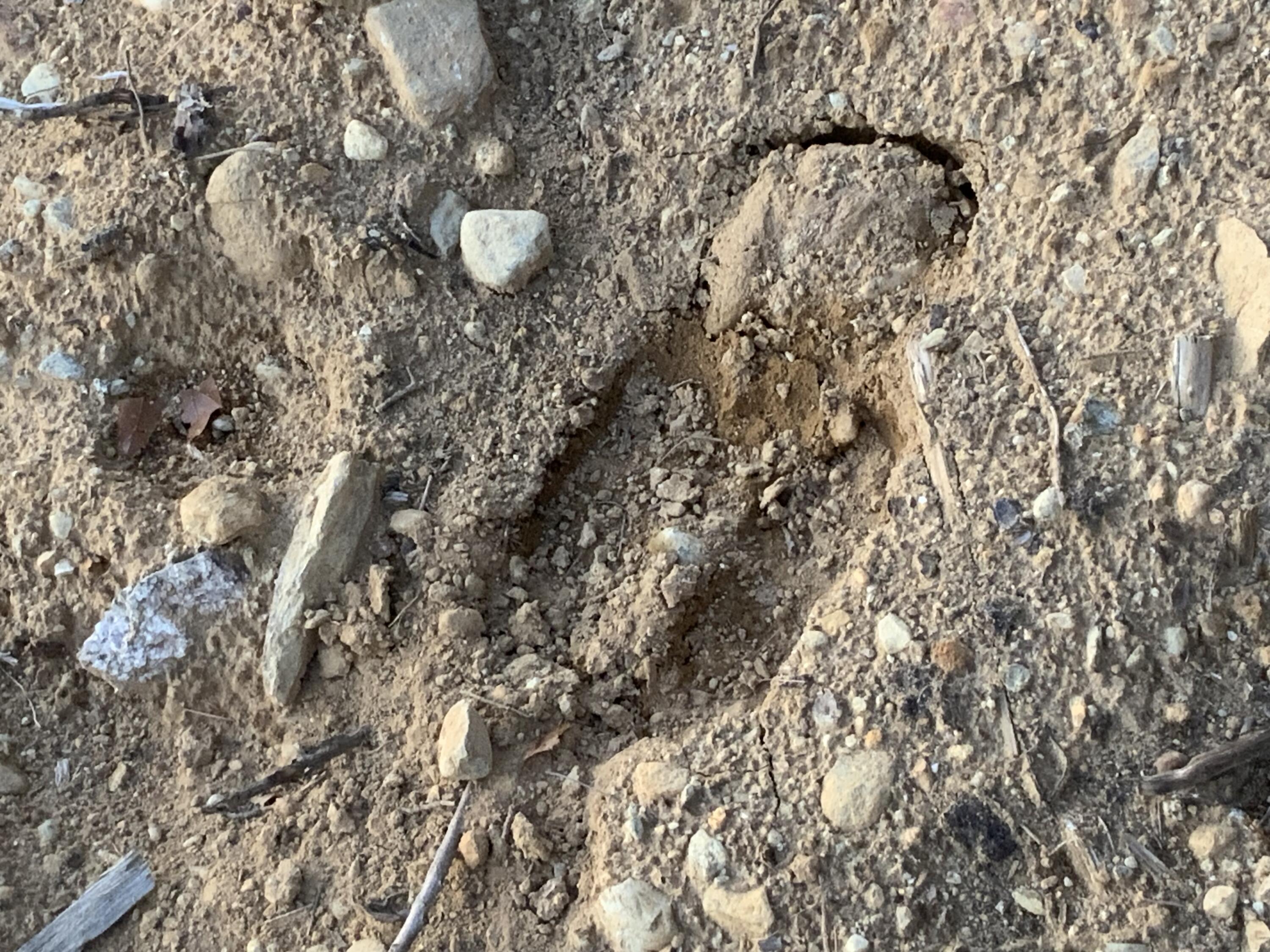 018 Bear Lane Rumford ME 04276