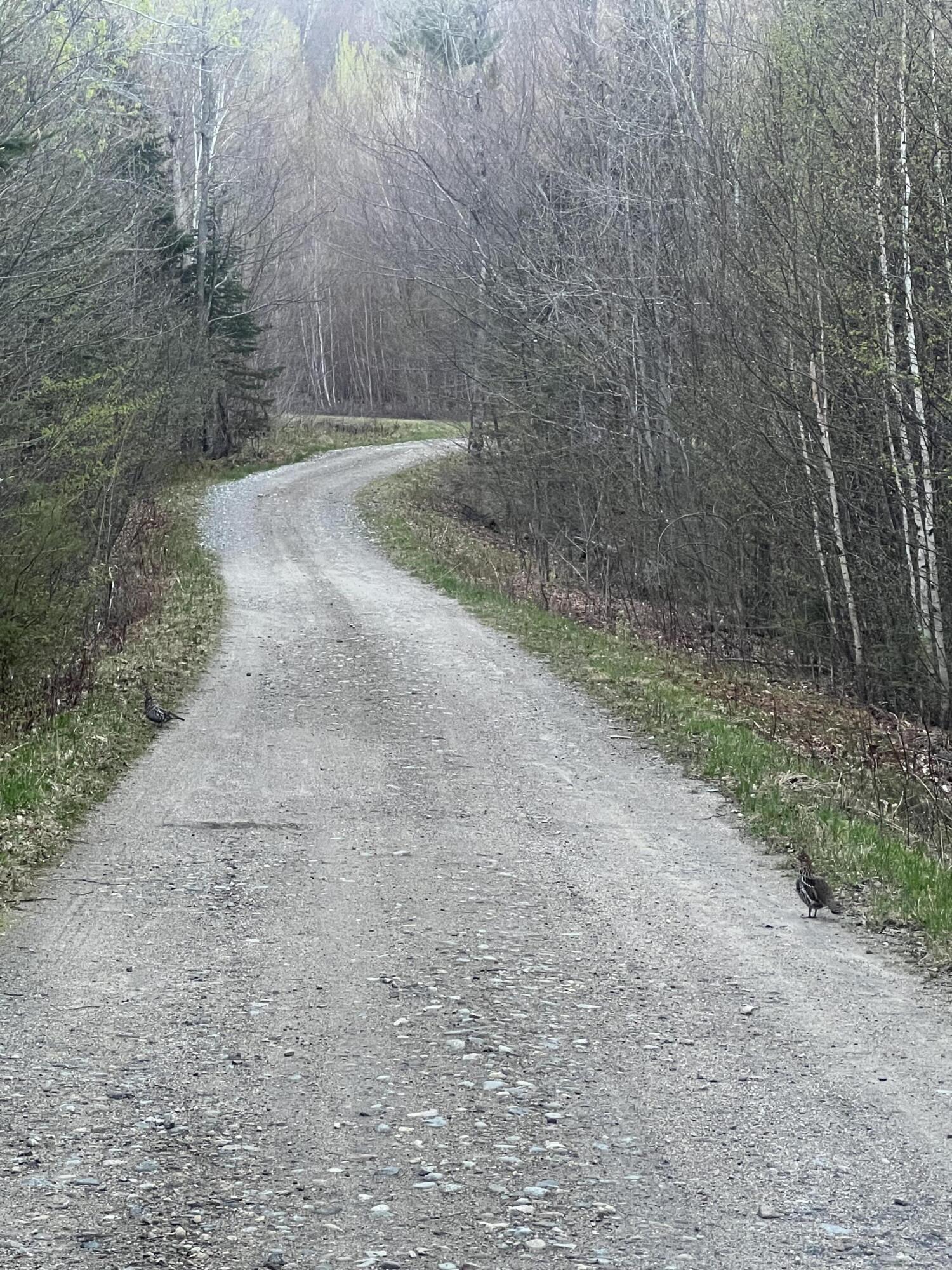 018 Bear Lane Rumford ME 04276