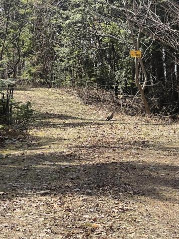 018 Bear Lane Rumford ME 04276