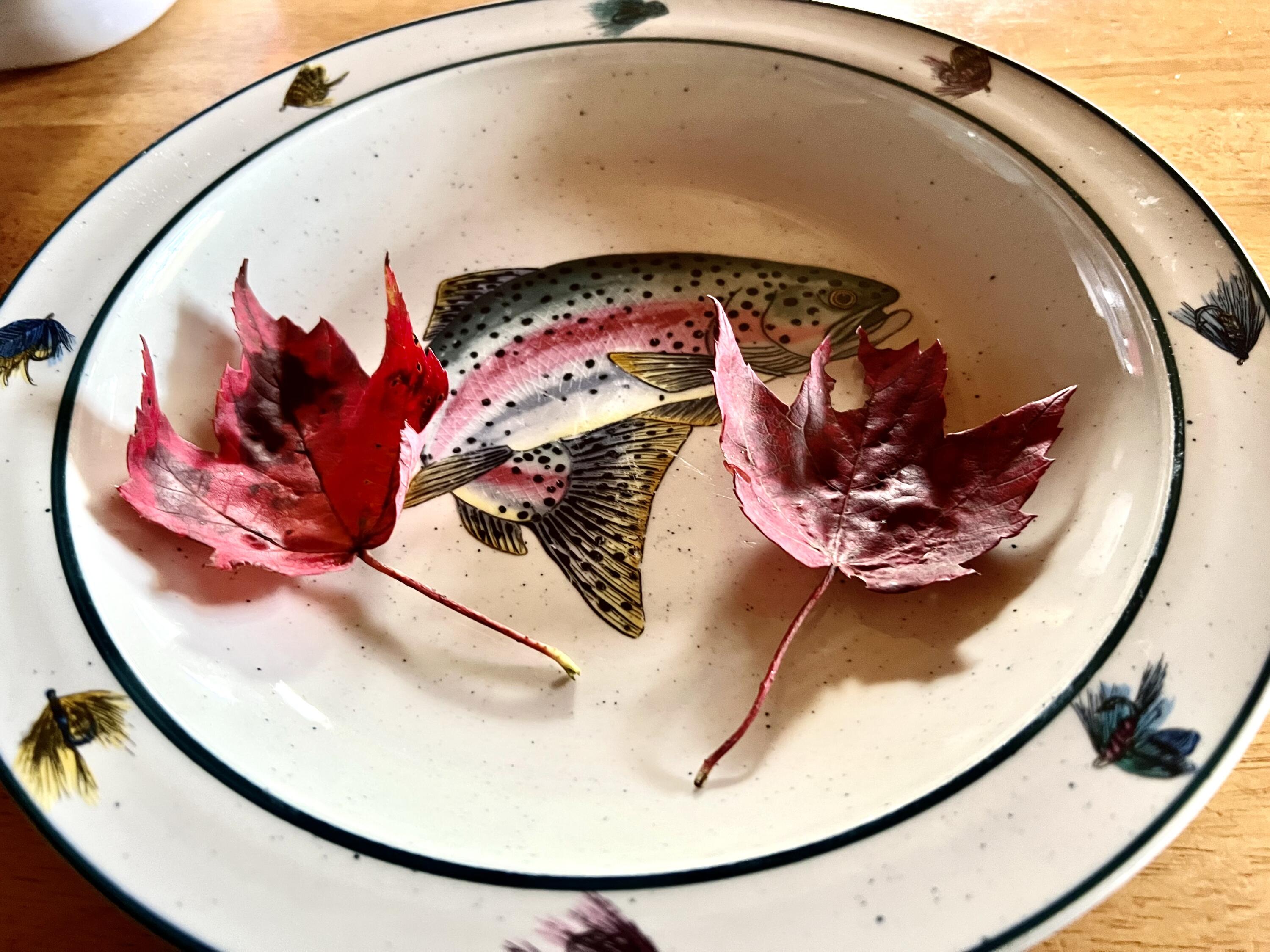 018 Bear Lane Rumford ME 04276