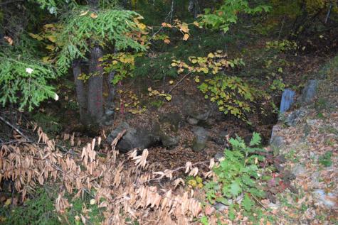 018 Bear Lane Rumford ME 04276