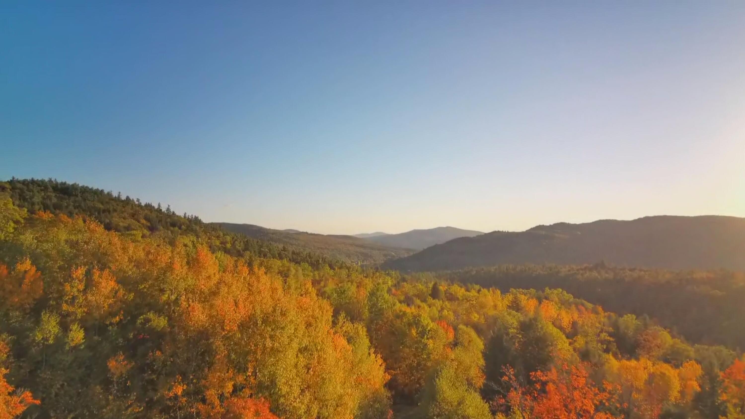 018 Bear Lane Rumford ME 04276