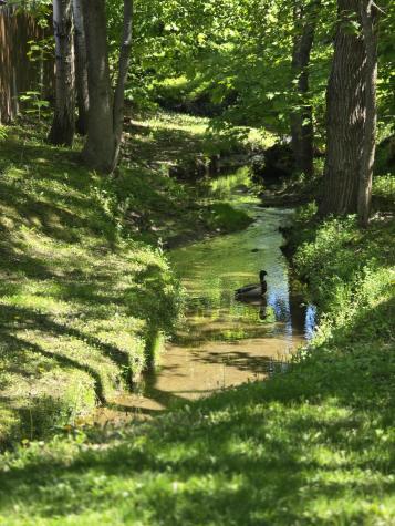 5 Roland Avenue Lewiston ME 04240