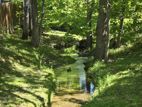 5 Roland Avenue Lewiston ME 04240