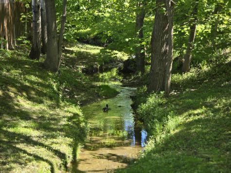 5 Roland Avenue Lewiston ME 04240