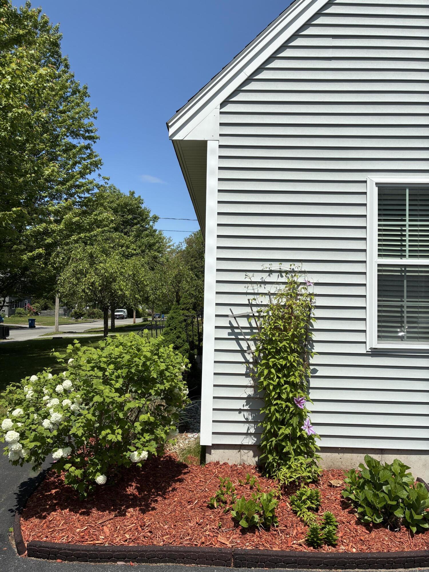 133 Plymouth Street Portland ME 04103