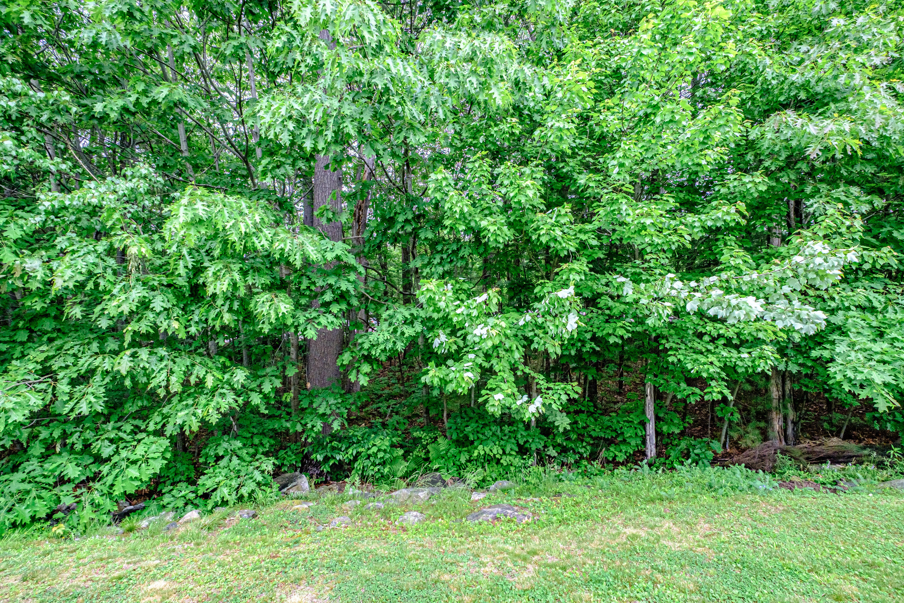 133 Plymouth Street Portland ME 04103