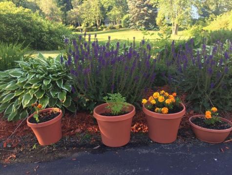 1 Lantern Lane Waterville ME 04901