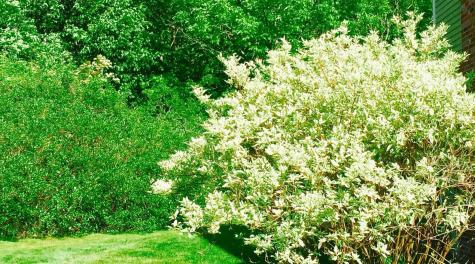1 Lantern Lane Waterville ME 04901