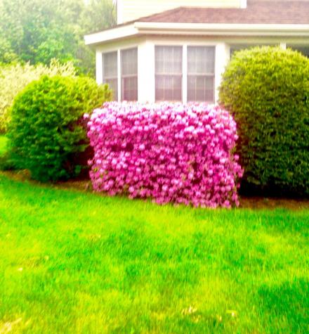 1 Lantern Lane Waterville ME 04901