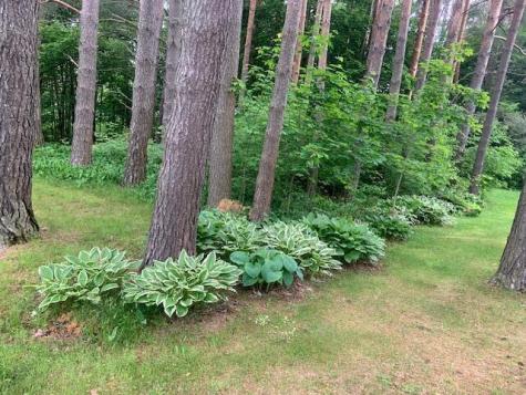 35 Dunning Boulevard Bangor ME 04401