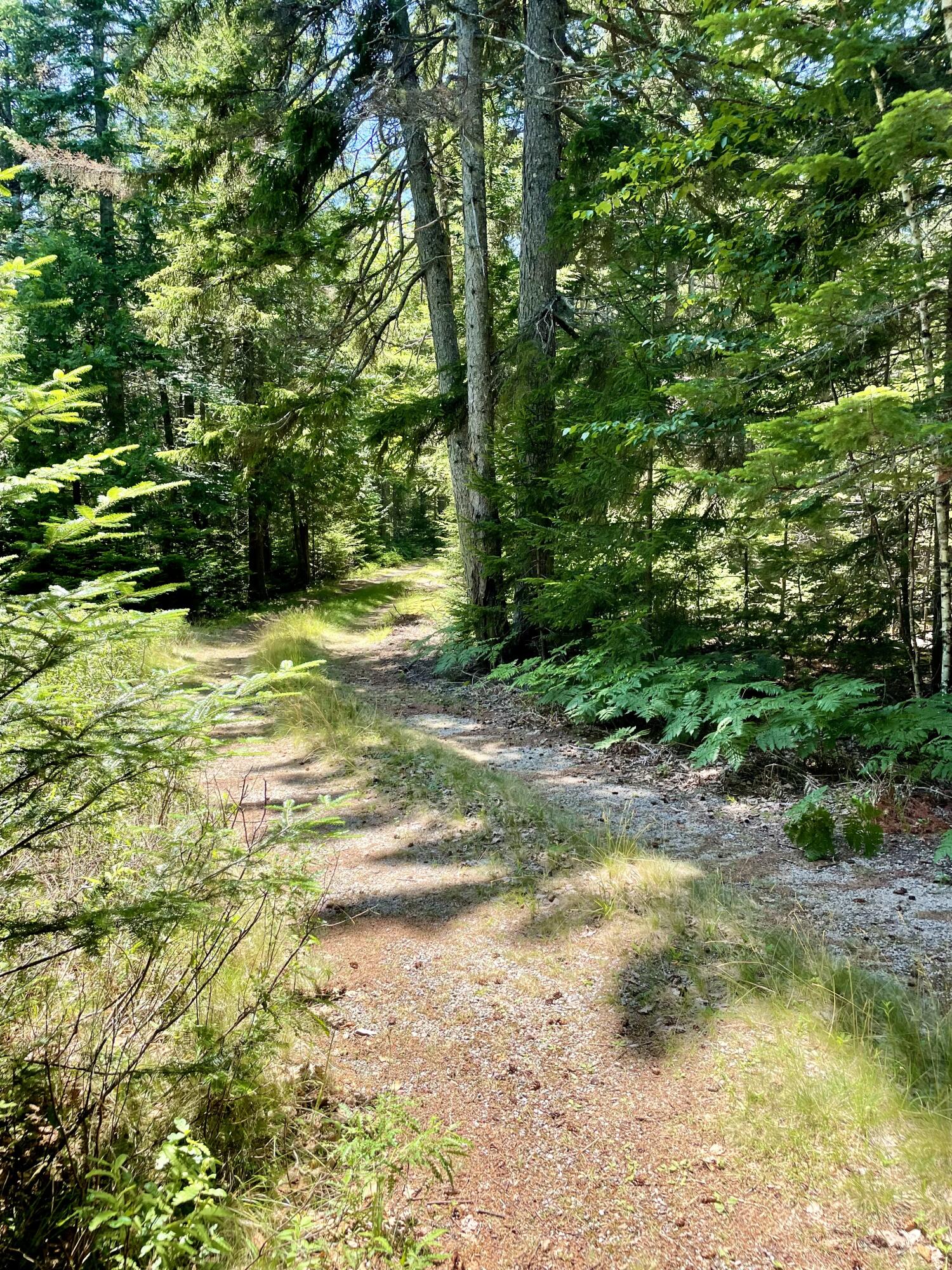 45 Maple Leaf Drive Gouldsboro ME 04607