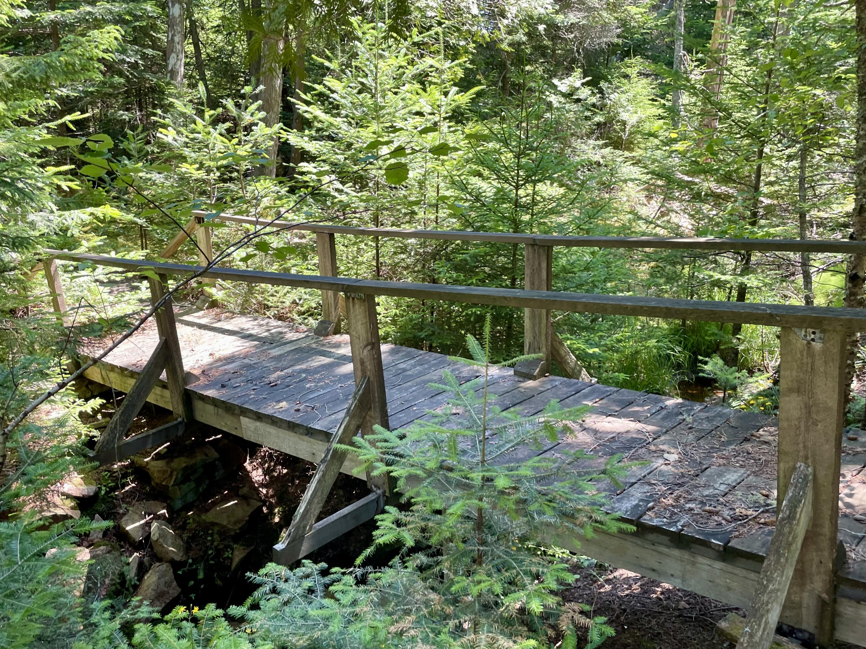 45 Maple Leaf Drive Gouldsboro ME 04607