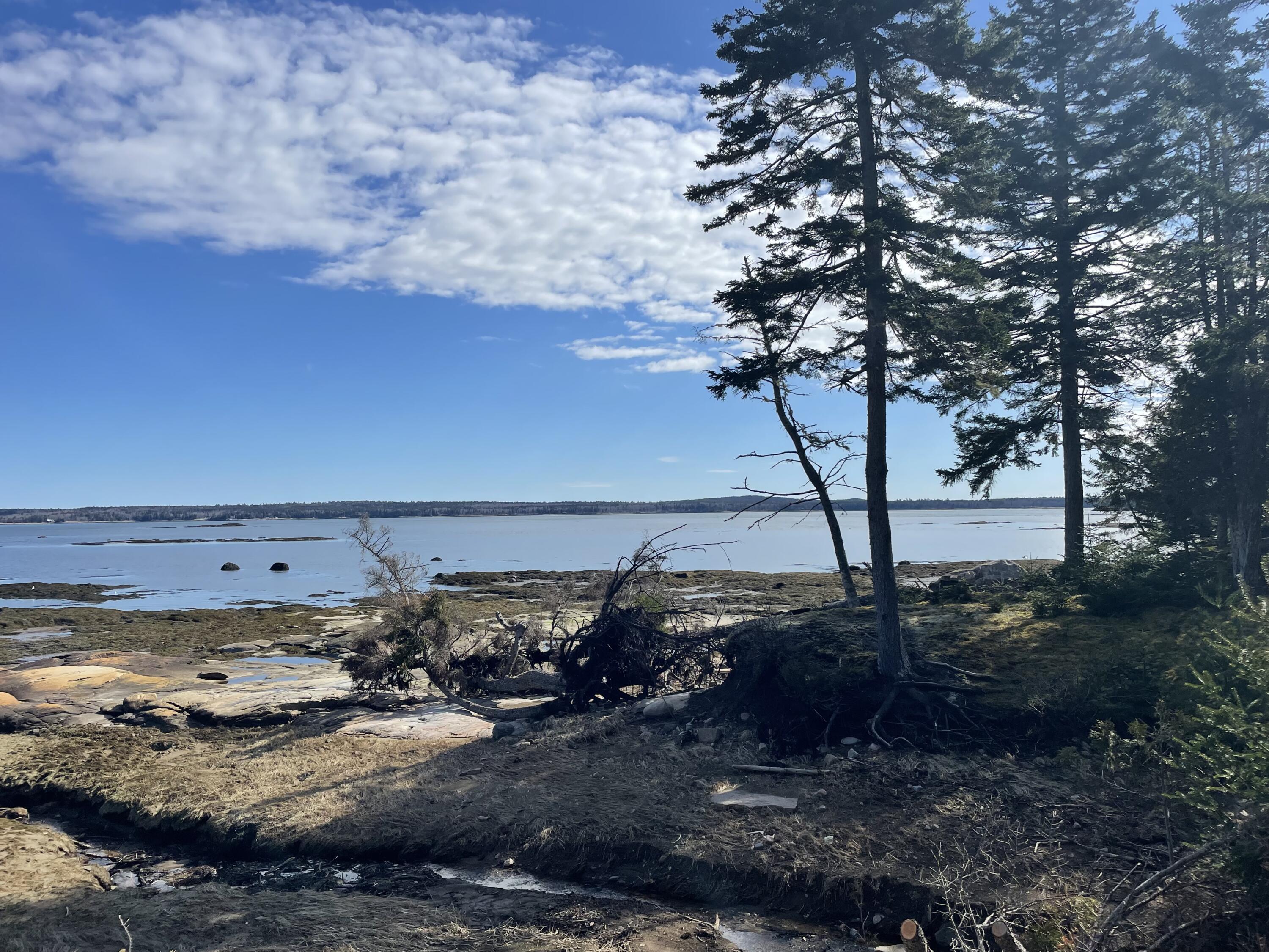 45 Maple Leaf Drive Gouldsboro ME 04607