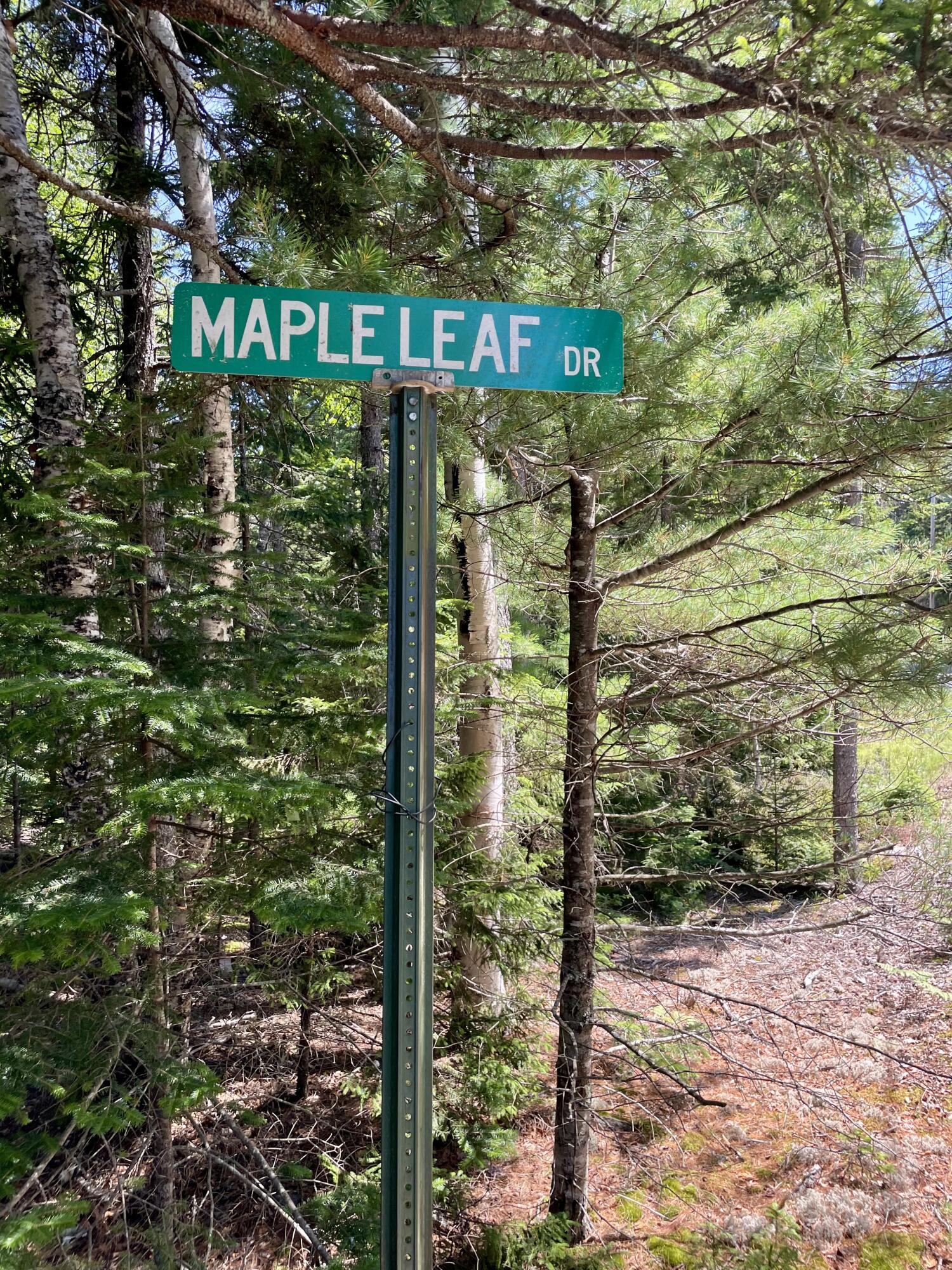 45 Maple Leaf Drive Gouldsboro ME 04607